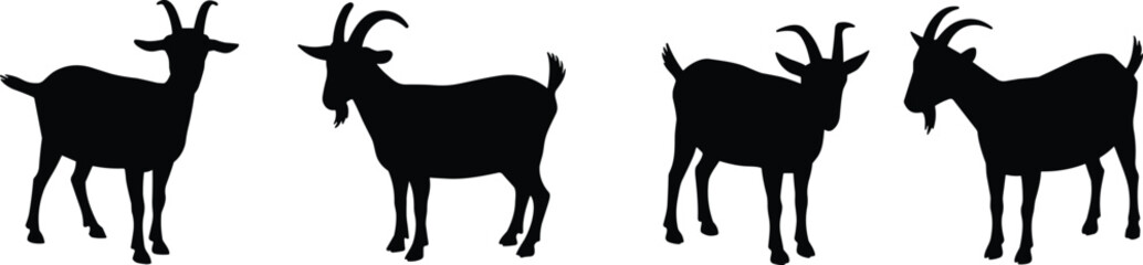 Silhouette illustration of goats standing in different positions, domestic farm animals vector art, livestock design for agriculture, countryside, rural life, nature and farming concepts