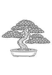 Japanese Bonsai Tree Line Art Illustration