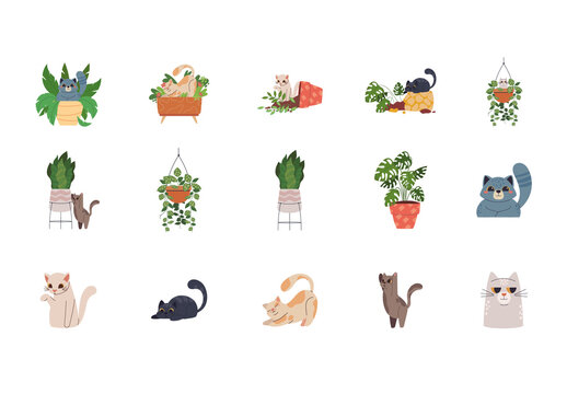 Colorful Cats Plants Home Illustrations Set