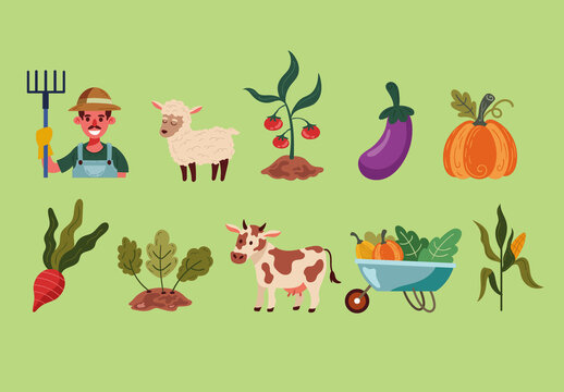 Colorful Vegetables Farming Illustrations Set