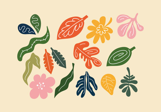 Colorful Nature Leaves Botanical Illustrations Set