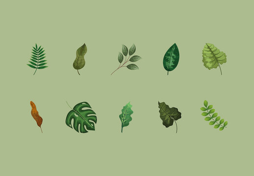 Green Leaves Botanical Nature Illustrations Set