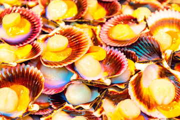 Fresh scallops nestled in their natural shells, close-up photo captures exquisite beauty of premium seafood. Perfect for culinary magazines or restaurant menus, it promises a delicious
