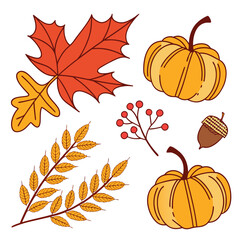 A charming collection of autumn elements including colorful maple and oak leaves pumpkins berries and an acorn perfect for seasonal designs