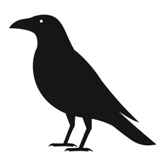 Obraz premium Silhouette of a Black Crow Standing Tall A Simple and Striking Image Featuring Wildlife and Nature
