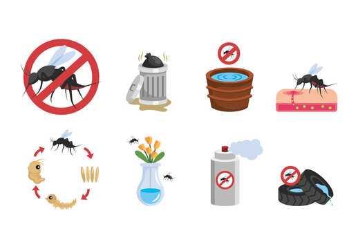 Colorful Dengue Mosquito Infection Virus Prevention Set