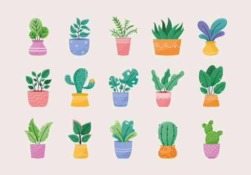 Colorful Plants Nature Cactus Leaves Garden Illustrations Set