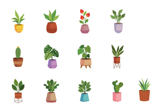 Green Houseplants Nature Indoor Botanical Illustrations Set