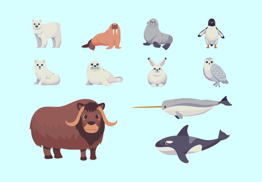 Colorful Arctic Animals Wildlife Illustration Set