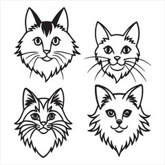 A Large and Sturdy Norwegian Forest Cat, a Nordic Gentle Giant with a Water Resistant and Semi-long Double Coat, Tuftedears, and a Bushy Tail