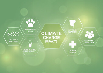 Climate Change Impacts. Green hexagonal infographic showing six climate change impact categories: oceans, biodiversity, agriculture, extreme weather, health, economy migration. Vector illustration