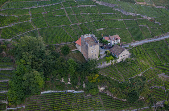Aerial view of the Chateau de Montagny standing proudly amidst the Lavaux vineyard terraces, a tapestry of green and gold under the summer sky, Puidoux, Vaud, Switzerland.