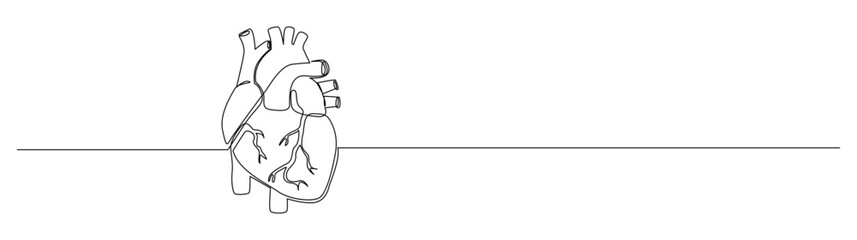 Human Heart Continuous Line Drawing