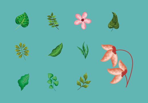 Green And Pink Leaves Flowers Plants Botanical Illustrations Set
