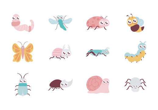 Pink And Blue Insects Bugs Kawaii Cute Illustrations Set