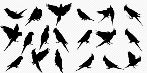A diverse collection of black bird silhouettes showcasing various species in different flying and perching poses.