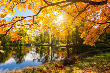 Autumn foliage in Alexander park, Tsarskoe Selo (Pushkin), St. Petersburg, Russia