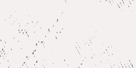 Picture background, off white design. Minimal plain white green background. fullscreen background. white paper texture. quality white background.