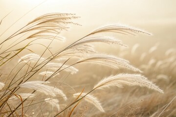 Soft feather grass plumes on pastel background with delicate texture and copy space