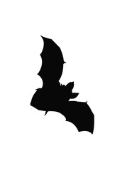 bat silhouette isolated on white