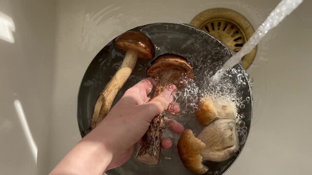 Woman washing birch bolete and porcini mushrooms with her hand in metal bowl