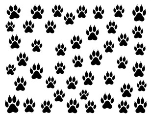 Black paw prints on white background