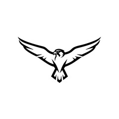 Falcon Logo - Minimalist Hawk With Spread Wings