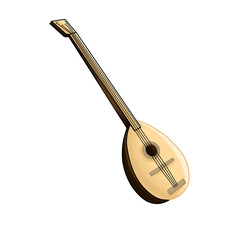 plucked musical instruments