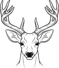 Detailed deer head line art vector illustration with large antlers, wildlife animal design for nature, hunting, decoration, and artistic projects