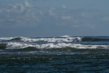 Humpback whale in Itacaré Bahia Brazil ocean at sunset with blue textured sea sky and tropical nature wildlife photography