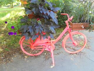 bicycle and flowers