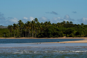 Humpback whale in Itacaré Bahia Brazil ocean at sunset with blue textured sea sky and tropical nature wildlife photography