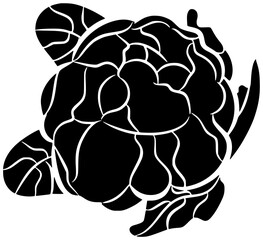 food illustration vegetarian silhouette cauliflower logo vegetable icon organic outline fresh healthy nutrition green diet ingredient vegan health cabbage shape women vector graphic background