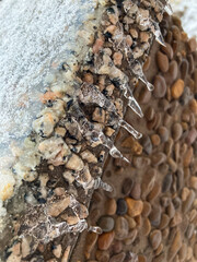 The water froze on the stone. A stream of frozen water. Water in winter.