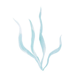 Fototapeta premium A bush of blue, long-leaved seaweed. Isolated watercolor painting of underwater plants for children's prints, clothing, and interior design for themed parties and children's rooms.