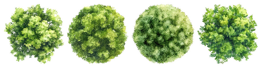 PNG Lush green top-view foliage, element set on transparent background