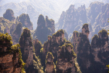 Avatar mountains in Zhangjiajie, China. Natural landmark and popular travel destination