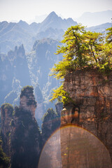 Avatar mountains in Zhangjiajie, China. Natural landmark and popular travel destination