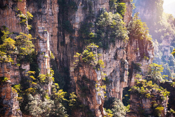 Avatar mountains in Zhangjiajie, China. Natural landmark and popular travel destination