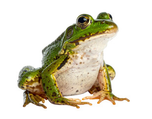 Fototapeta premium 17
