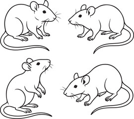 Line art rats
