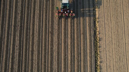 High Overhead View of a Tractor Planting Seeds in Rows on a Vast Agricultural Field During a Golden Hour Sunset Showing New Growth and Preparation for Harvest
