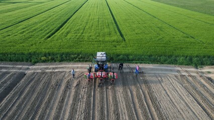 Farmers work together using a tractor and planter in a vast green field during the early morning hours planting seeds for a new crop