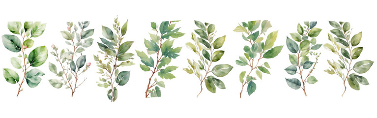 Watercolor greenery clipart set with hand-painted leaves, branches, twigs, and botanical foliage illustrations on transparent background, elegant floral watercolor PNG collection.