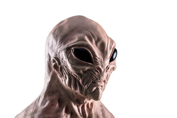 Obraz premium Humanoid alien head isolated on white background with clipping path