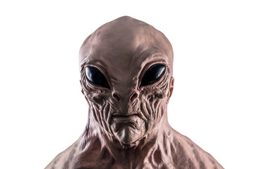 Humanoid alien head isolated on white background with clipping path