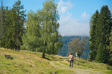 landscape in the austrian alps near Embach