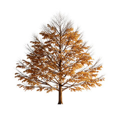 Obraz premium Majestic Naked Tree with Golden Leaves Against a Clear Background Capturing the Beauty of Autumn Season transparent background