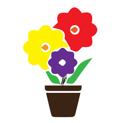 Colorful Potted Flowers