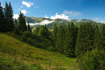 landscape in the austrian alps near Embach